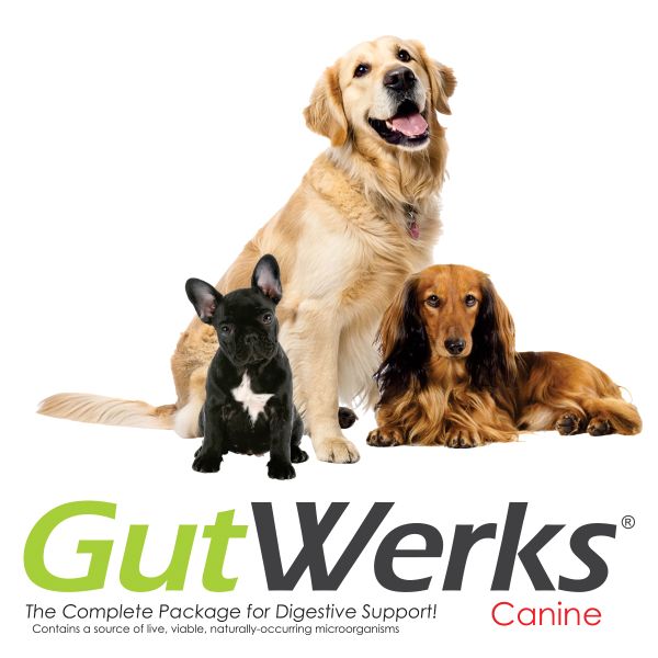 GutWerks Canine