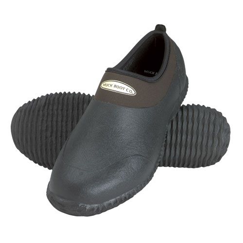 Daily Shoe