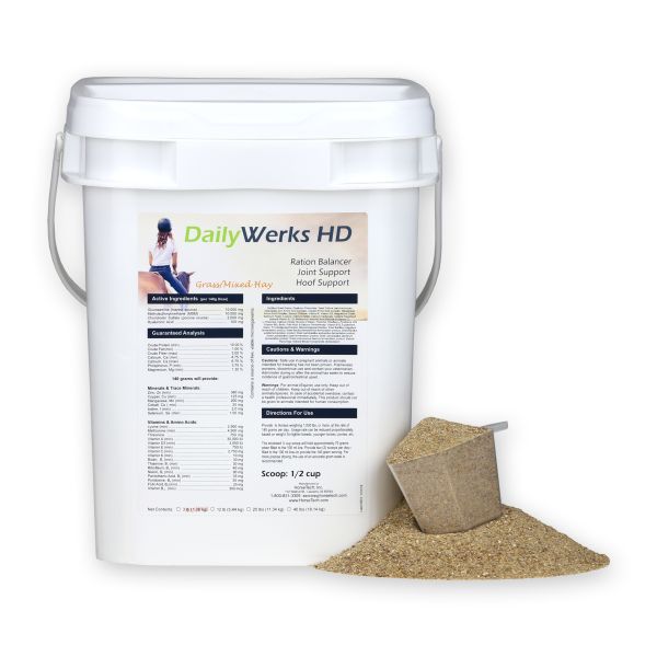 DailyWerks HD