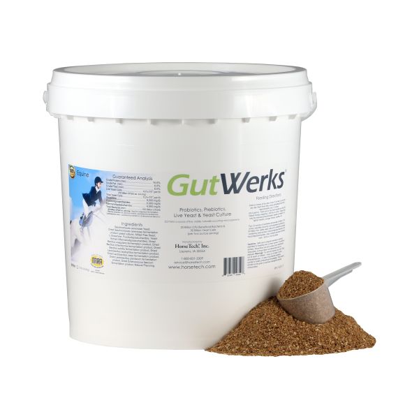 GutWerks