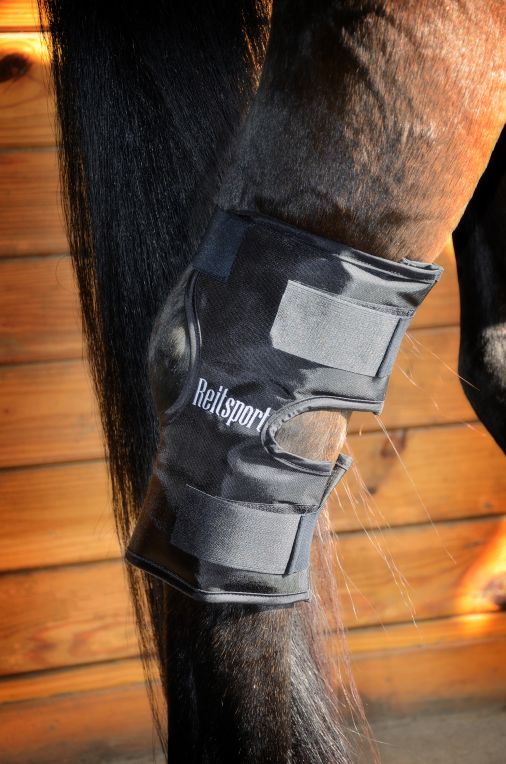 ReitSport Hock Wrap