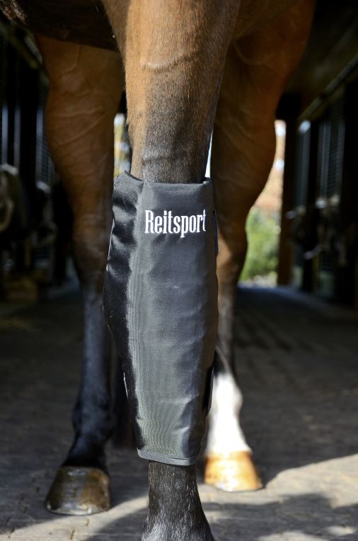 ReitSport Knee Wrap