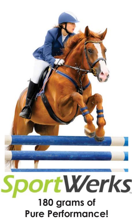 SportWerks