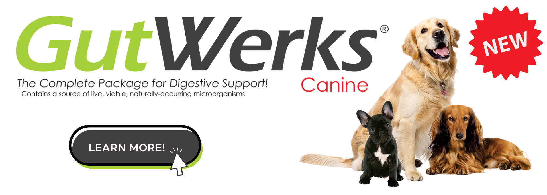 Home page slider - HorseTech